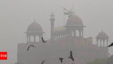 GRAP-IV restrictions imposed in Delhi from Monday as air quality deteriorates to ‘severe plus’ category | India News – Times of India