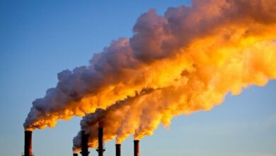 Global fossil CO2 emissions will reach a record in 2024