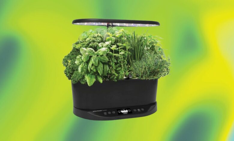 Grow fresh vegetables and herbs on your countertop with this hydroponic garden, now with a 50% discount