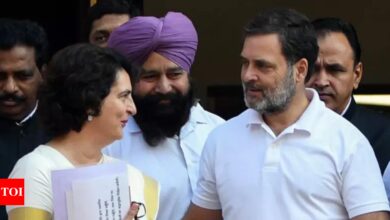 ‘Haare toh EVM ka rona’: BJP’s meme-driven jibe at Congress after Priyanka Gandhi Vadra’s Wayanad win | India News – Times of India