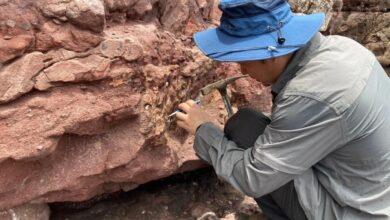 Hong Kong discovers the first dinosaur fossil in a historic geological find