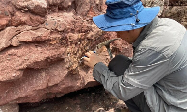 Hong Kong discovers the first dinosaur fossil in a historic geological find