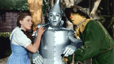 Hospital raids, explosions and poison – the real curse of the Wizard of Oz