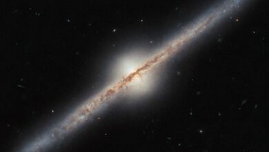 Hubble Space Telescope captures rare frontal view of a spiral galaxy