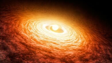 Hubble telescope unexpectedly finds hot accretion disk in FU Orionis