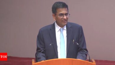 ‘I am one of the most cheated judges’: CJI Chandrachud says trolls will now be jobless | India News – Times of India