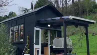 I built a very small house for just £14,000 and everyone says it’s incredible