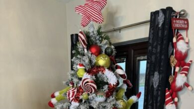 I love my House Bargain Tree – people say it’s ‘perfect’ or that it ruined Christmas