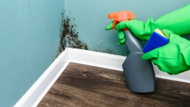 I’m a home expert: try these five £1 hacks to banish mold and condensation