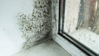 I’m an interior design professional: the perfect temperature to keep your home warm and prevent condensation