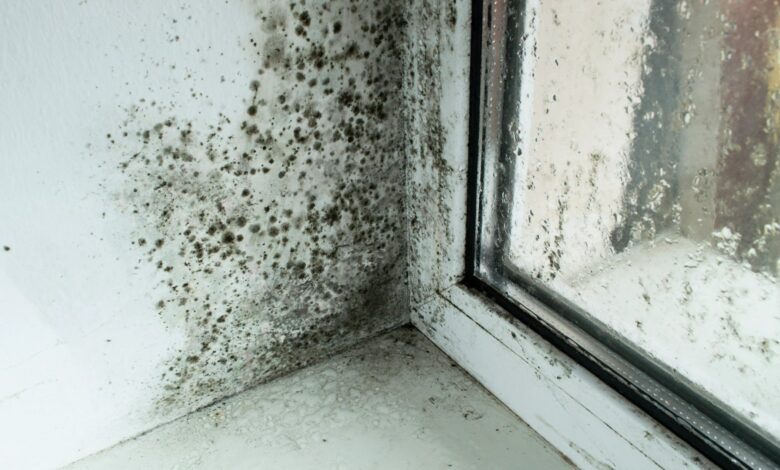 I’m an interior design professional: the perfect temperature to keep your home warm and prevent condensation