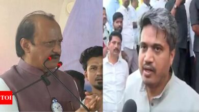 ‘Imagine if I had campaigned in your seat’: Ajit Pawar’s quip to cousin Rohit | India News – Times of India