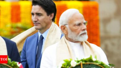 India-Canada ties remain challenging, security of Indians is priority: MEA | India News – Times of India