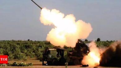 India begins exporting Pinaka weapon systems to Armenia | India News – Times of India