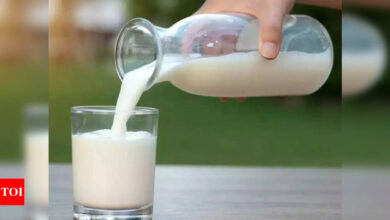 Indian milk production has increased by almost 4%, while meat production has increased by almost 5% | India News – Times of India