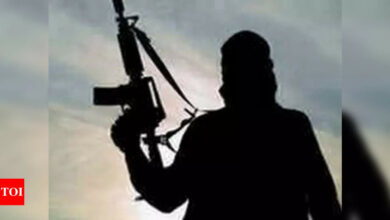 Jaish terrorists killed two VDG members in Kishtwar, encounter begins in north Kashmir’s Sopore | India News – Times of India