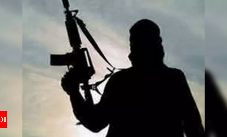 Jaish terrorists killed two VDG members in Kishtwar, encounter begins in north Kashmir’s Sopore | India News – Times of India