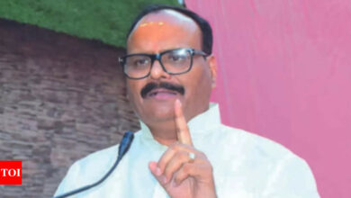 Jhansi hospital fire: UP dy CM Brajesh Pathak seeks action against officials after political row erupts over ‘VIP welcome’ | India News – Times of India