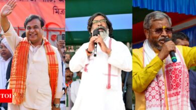 Jharkhand Phase 1 elections: Stage set for high-stakes clash between BJP and INDIA bloc over 43 parliamentary seats | India News – Times of India