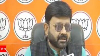 Jharkhand government provided IDs to infiltrators, tribal interests were affected: BJP spokesperson Pratul Shah Deo – Times of India