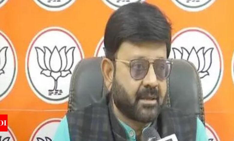 Jharkhand government provided IDs to infiltrators, tribal interests were affected: BJP spokesperson Pratul Shah Deo – Times of India