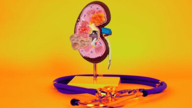 13 superfoods to boost your kidney health