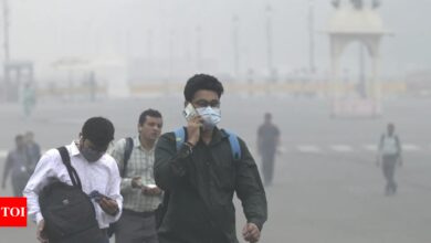 ‘Like entering the gas chamber’: Priyanka Gandhi compares air quality in Delhi with Wayanad | India News – Times of India