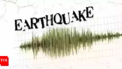 Magnitude 5.8 earthquake reported near New Zealand’s North Island | India News – Times of India