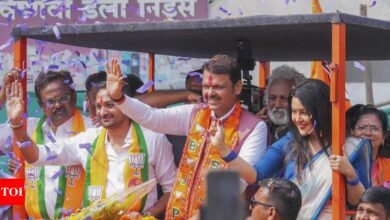 Maharashtra Assembly Result 2024: ‘Ek hain toh safe hain’, says Fadnavis in first reaction after Mahayuti’s big win | India News – Times of India