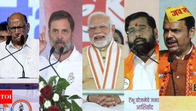 Maharashtra Election Highlights 2024: Mahayuti led by BJP leads in race against Maha Vikas Aghadi, trends show | India News – Times of India