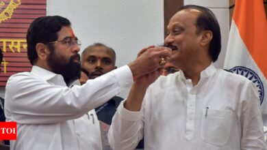 Maharashtra mandate defines the ‘real Senapati’ and the ‘real Pawar’ | India News – Times of India