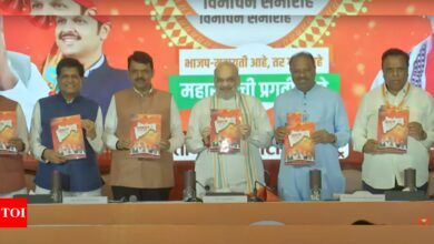 Maharashtra polls: BJP releases manifesto, here are top promises in ‘Sankalp Patra’ | India News – Times of India