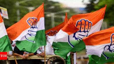 Maharashtra polls: Congress expel Jayashree Patil for six years for standing as independent candidate in Sangli | India News – Times of India