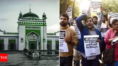 ‘Maintain peace and harmony’: SC asks court not to pass any order on Sambhal mosque investigation | India News – Times of India