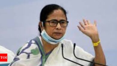 Mamata Banerjee elevates veterans in TMC and entrusts Abhishek with important national role | India News – Times of India