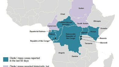 Mpox 2024 hotspots: Map shows all countries where cases of new strain have been confirmed – including the UK