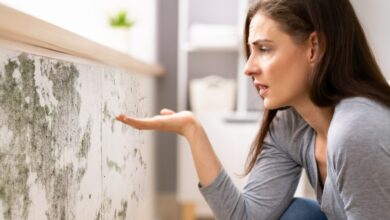 My council flat had terrible condensation until I made two simple exchanges