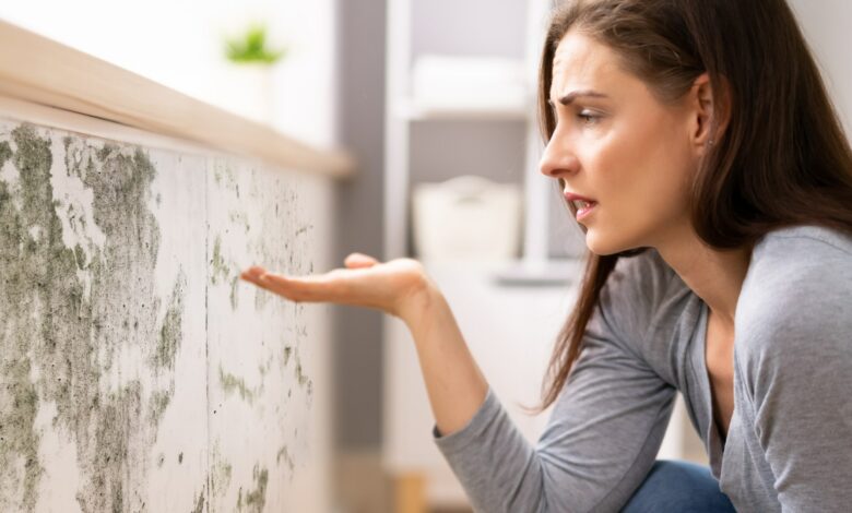 My council flat had terrible condensation until I made two simple exchanges