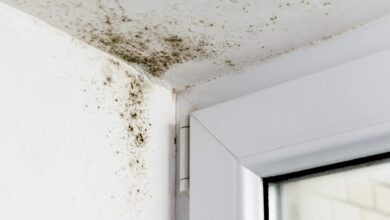 My house was covered in mold from damp, but a 10 cent hack saved me