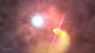 NASA and JAXA’s joint XRISM mission finds detailed data from an X-ray emitting star