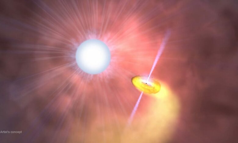 NASA and JAXA’s joint XRISM mission finds detailed data from an X-ray emitting star