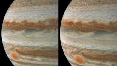 NASA’s Juno shows the storms of Jupiter and the moon Amalthea up close