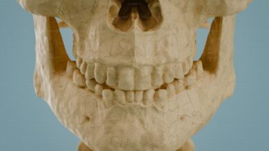 New fossil children’s teeth reveal why humans developed unusually long childhoods