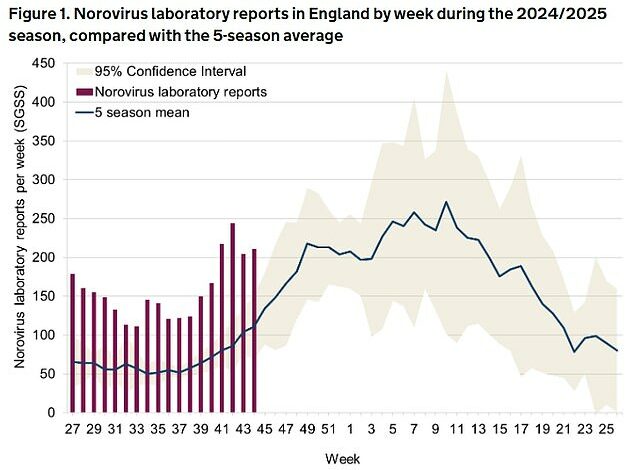 New norovirus warning as potentially deadly variant expected to rise before Christmas – and experts say antibac will NOT protect you