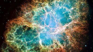 New research explains zebra pattern in radio waves from the Crab Nebula