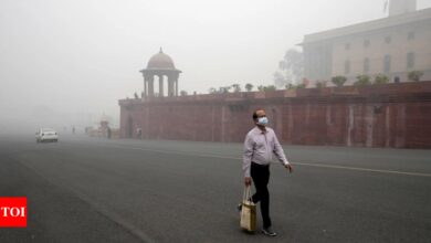 No relaxation of GRAP-4 without court’s nod: Supreme Court slams Delhi government for anti-pollution delay | India News – Times of India