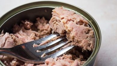 Now canned tuna is BANNED, activists demand – as toxic levels of mercury are detected in store cupboard favorite