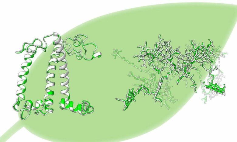 Osaka University reveals 3D structure of photosynthetic antenna