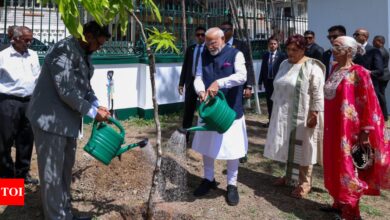 PM Modi’s ‘ek ped maa kenaam’ initiative goes global | India News – Times of India