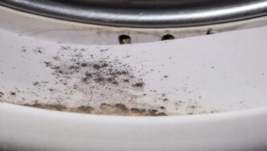 People are excited about purchasing 35 cents that ‘effectively kills’ mold in your washing machine